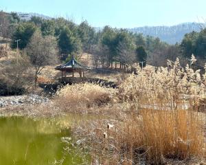 [Campus Magnifier] Take a Memory in Dankook!